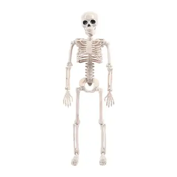 Igračke-ukrasa u obliku kostura na Halloween, kostur s interaktivnim fleksibilni podesivim vezama za znanstvena istraživanja